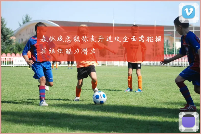 森林狼总裁称麦丹进攻全面需挖掘其组织能力潜力